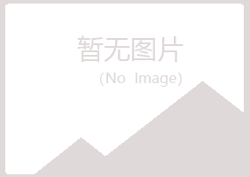 城关区伤口能源有限公司